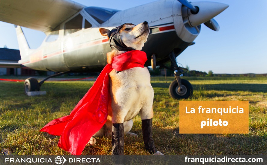 Perro vestido de piloto posando frente una avioneta