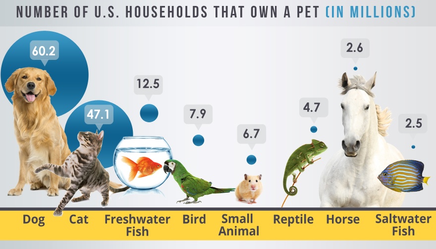 Pet Franchise Industry Report 2017 