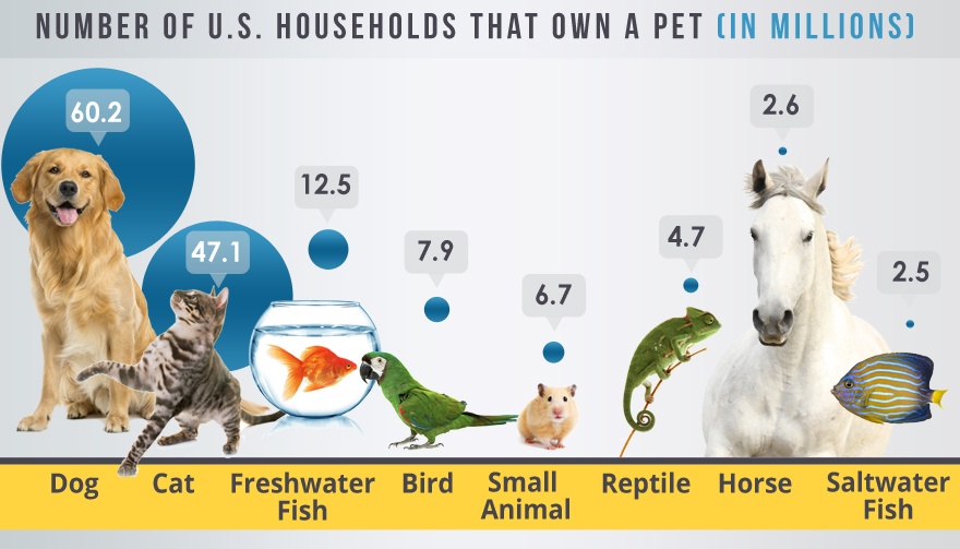 Pet Franchise Industry Report 2017 Pet Franchise Industry Report 2017