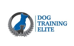 Dog Training Franchise Opportunities Dog Training Franchises For Sale Franchisedirect Com