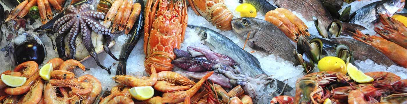 seafood-franchise-opportunities-seafood-restaurant-franchises-for-sale