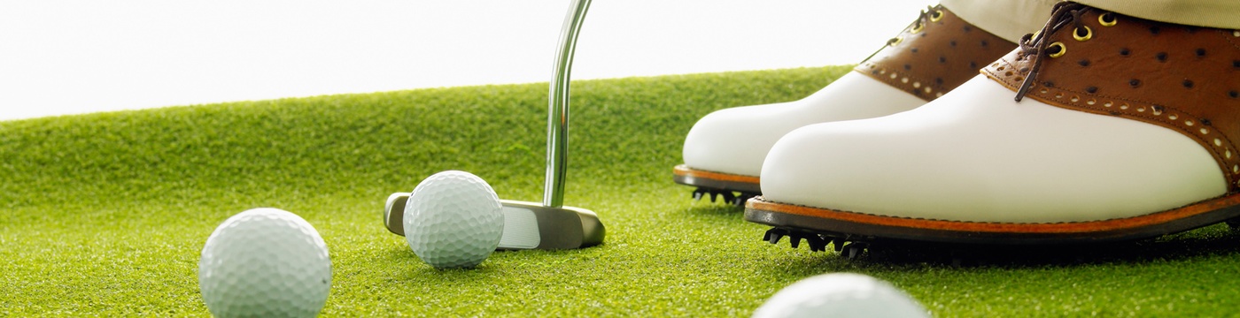 Golf Franchise Opportunities, Golf Franchises for Sale