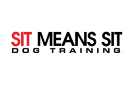 Sit means sit hot sale dog training cost