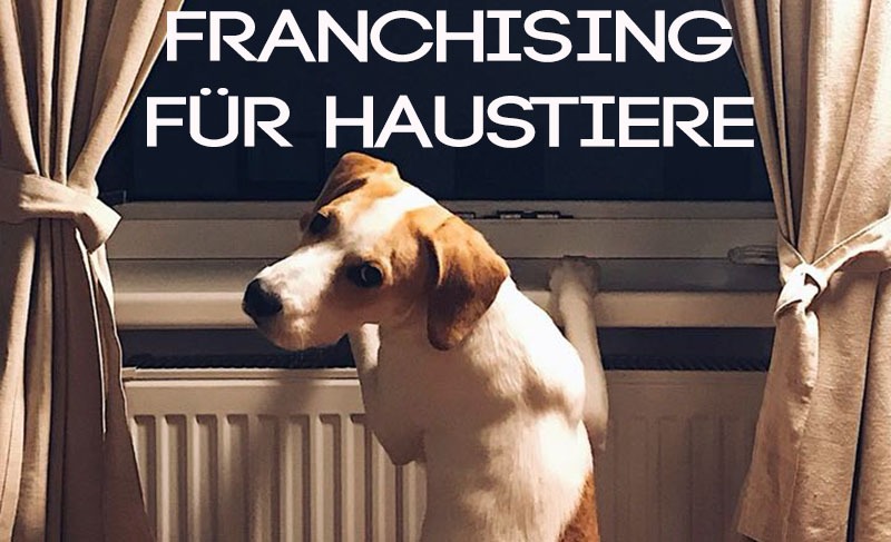 franchising haustiere banner