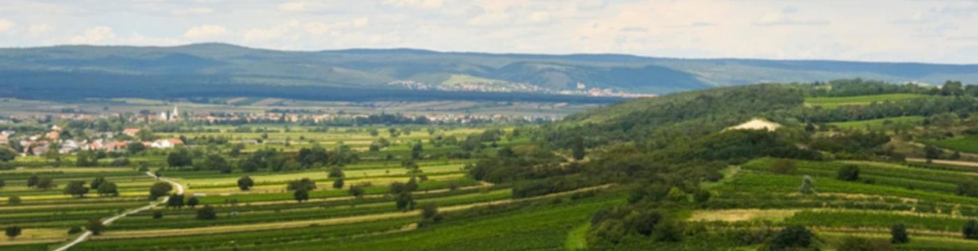 349 im Burgenland, 426 in Krnten, 2.965 in Niedersterreich, 2.362 in Obersterreich, 1.245 in Salzburg, 1.853 in der Steiermark, 3.545 in Corona-Virus: Mittwoch: 11 Personen in Krnten mit dem